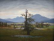 Landscape with Solitary Tree Caspar David Friedrich